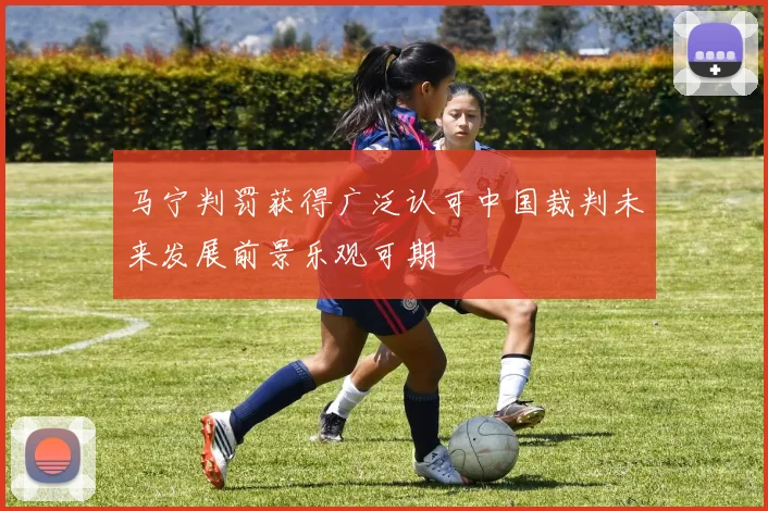 马宁判罚获得广泛认可中国裁判未来发展前景乐观可期